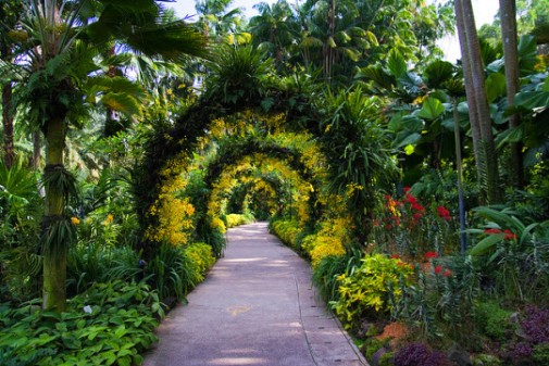 Ботанический сад - Визовый Центр Глобал Сингапур